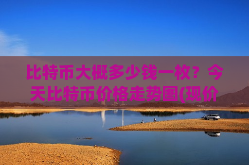 比特币大概多少钱一枚？今天比特币价格走势图(现价699248.94元)-第1张图片-币圈网