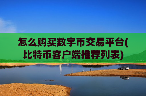 怎么购买数字币交易平台(比特币客户端推荐列表)