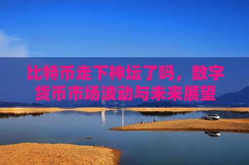 比特币走下神坛了吗,数字货币市场波动与未来展望-第1张图片-币圈网 比特币走下神坛了吗,数字货币市场波动与未来展望-第1张图片-币圈网