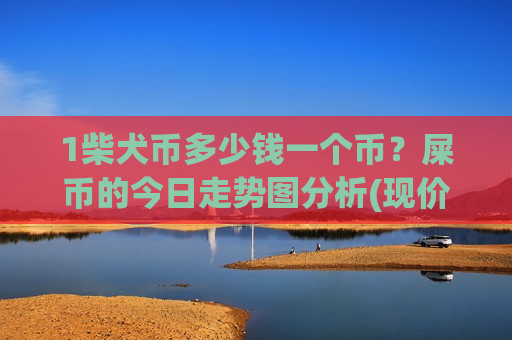 1柴犬币多少钱一个币？屎币的今日走势图分析(现价0.00018367元)-第1张图片-币圈网