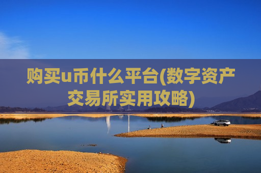 购买u币什么平台(数字资产交易所实用攻略)-第1张图片-币圈网 购买u币什么平台(数字资产交易所实用攻略)-第1张图片-币圈网