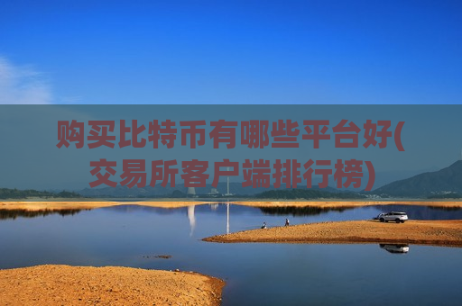 购买比特币有哪些平台好(交易所客户端排行榜)-第1张图片-币圈网 购买比特币有哪些平台好(交易所客户端排行榜)-第1张图片-币圈网