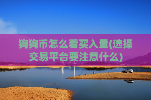 狗狗币怎么看买入量(选择交易平台要注意什么)-第1张图片-币圈网