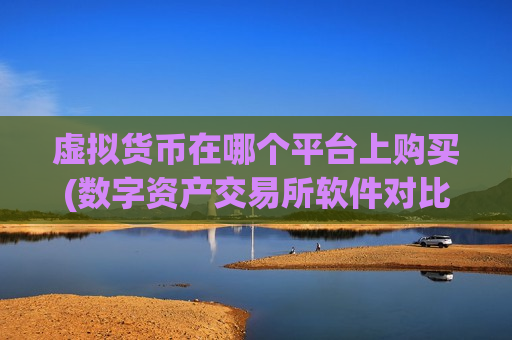 虚拟货币在哪个平台上购买(数字资产交易所软件对比)-第1张图片-币圈网 虚拟货币在哪个平台上购买(数字资产交易所软件对比)-第1张图片-币圈网