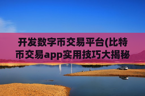 开发数字币交易平台(比特币交易app实用技巧大揭秘)