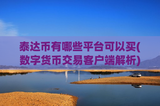 泰达币有哪些平台可以买(数字货币交易客户端解析)-第1张图片-币圈网