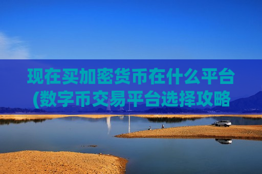 现在买加密货币在什么平台(数字币交易平台选择攻略)-第1张图片-币圈网 现在买加密货币在什么平台(数字币交易平台选择攻略)-第1张图片-币圈网
