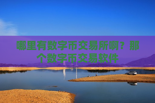 哪里有数字币交易所啊?那个数字币交易软件-第1张图片-币圈网 哪里有数字币交易所啊?那个数字币交易软件-第1张图片-币圈网