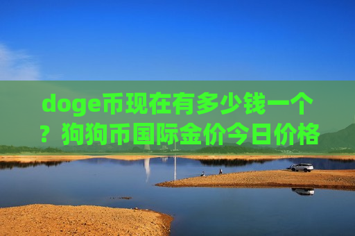 doge币现在有多少钱一个？狗狗币国际金价今日价格(现价2.9553元)-第1张图片-币圈网