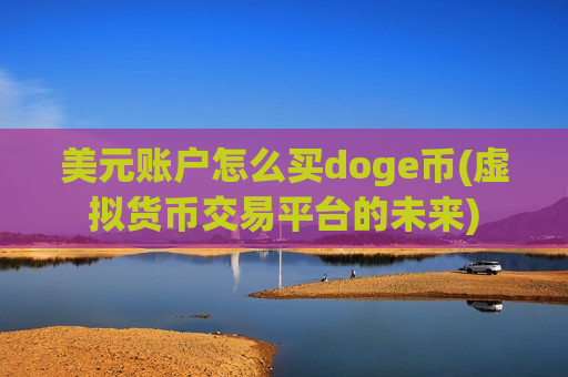 美元账户怎么买doge币(虚拟货币交易平台的未来)-第1张图片-币圈网 美元账户怎么买doge币(虚拟货币交易平台的未来)-第1张图片-币圈网