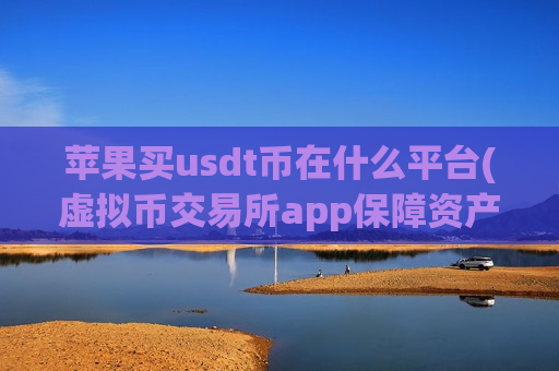 苹果买usdt币在什么平台(虚拟币交易所app保障资产安全)-第1张图片-币圈网