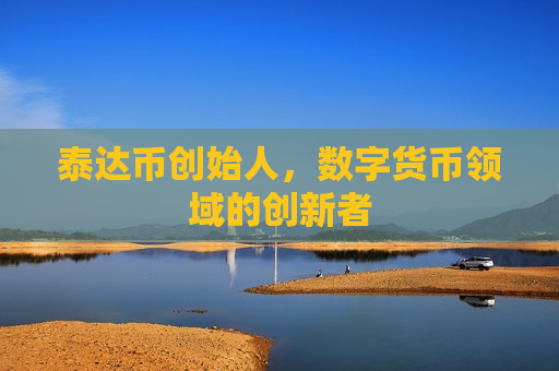 泰达币创始人，数字货币领域的创新者-第1张图片-币圈网