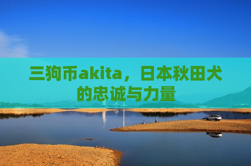 三狗币akita,日本秋田犬的忠诚与力量-第1张图片-币圈网 三狗币akita,日本秋田犬的忠诚与力量-第1张图片-币圈网