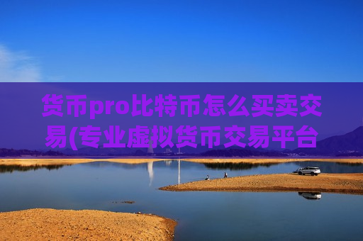 货币pro比特币怎么买卖交易(专业虚拟货币交易平台)-第1张图片-币圈网 货币pro比特币怎么买卖交易(专业虚拟货币交易平台)-第1张图片-币圈网