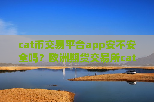 cat币交易平台app安不安全吗？欧洲期货交易所cat币-第1张图片-币圈网