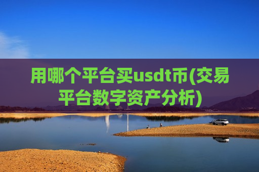 用哪个平台买usdt币(交易平台数字资产分析)-第1张图片-币圈网