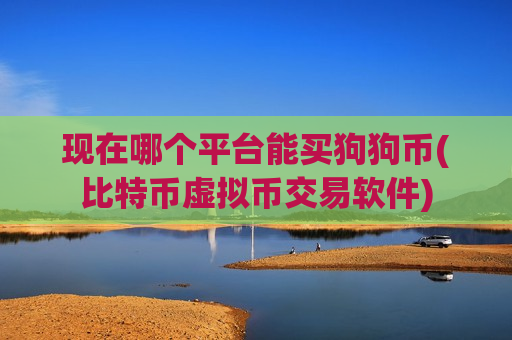 现在哪个平台能买狗狗币(比特币虚拟币交易软件)-第1张图片-币圈网 现在哪个平台能买狗狗币(比特币虚拟币交易软件)-第1张图片-币圈网