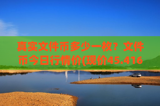真实文件币多少一枚？文件币今日行情价(现价45.4169元)-第1张图片-币圈网