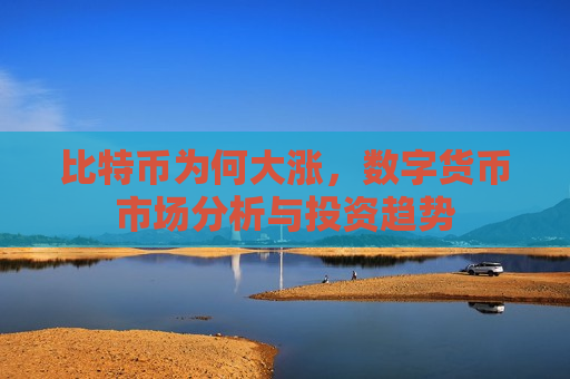 比特币为何大涨,数字货币市场分析与投资趋势-第1张图片-币圈网 比特币为何大涨,数字货币市场分析与投资趋势-第1张图片-币圈网