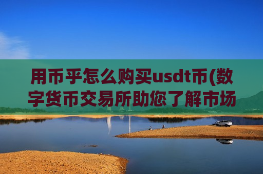用币乎怎么购买usdt币(数字货币交易所助您了解市场动态)-第1张图片-币圈网
