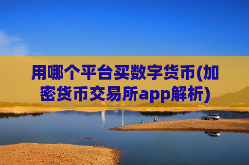 用哪个平台买数字货币(加密货币交易所app解析)-第1张图片-币圈网