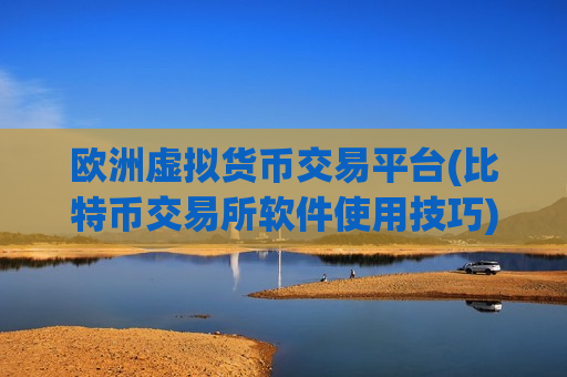 欧洲虚拟货币交易平台(比特币交易所软件使用技巧)-第1张图片-币圈网