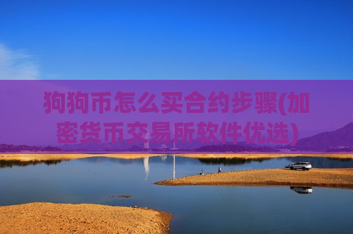 狗狗币怎么买合约步骤(加密货币交易所软件优选)-第1张图片-币圈网