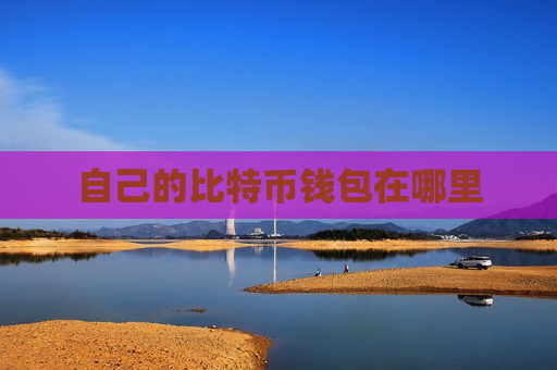 自己的比特币钱包在哪里-第1张图片-币圈网 自己的比特币钱包在哪里-第1张图片-币圈网