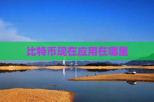 比特币现在应用在哪里-第1张图片-币圈网 比特币现在应用在哪里-第1张图片-币圈网