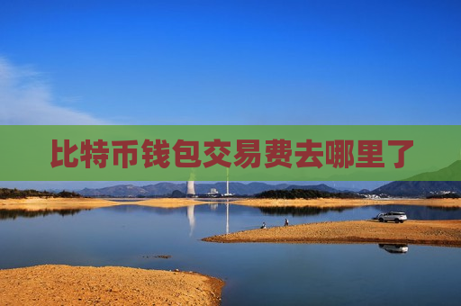 比特币钱包交易费去哪里了-第1张图片-币圈网 比特币钱包交易费去哪里了-第1张图片-币圈网