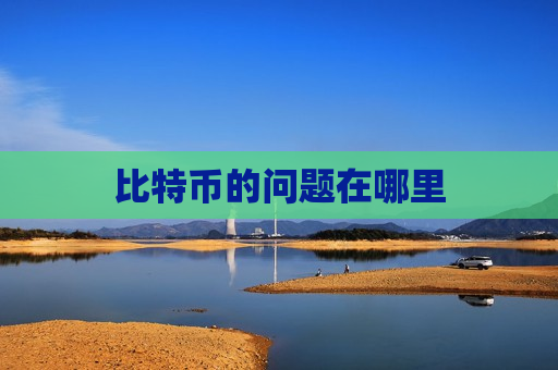 比特币的问题在哪里-第1张图片-币圈网 比特币的问题在哪里-第1张图片-币圈网