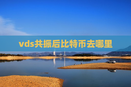 vds共振后比特币去哪里-第1张图片-币圈网