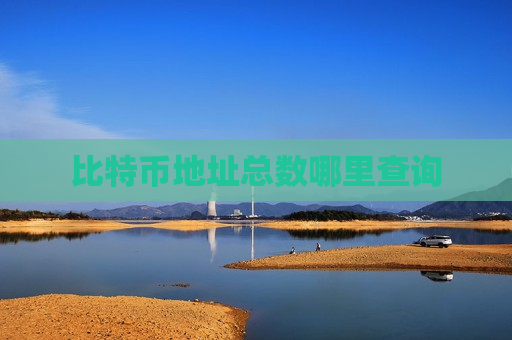 比特币地址总数哪里查询-第1张图片-币圈网 比特币地址总数哪里查询-第1张图片-币圈网