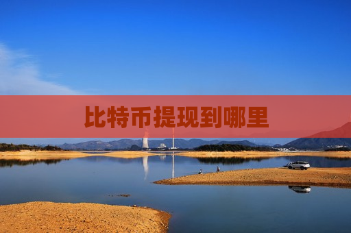 比特币提现到哪里-第1张图片-币圈网