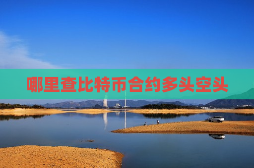 哪里查比特币合约多头空头-第1张图片-币圈网 哪里查比特币合约多头空头-第1张图片-币圈网
