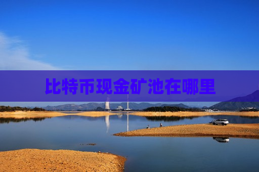 比特币现金矿池在哪里-第1张图片-币圈网 比特币现金矿池在哪里-第1张图片-币圈网
