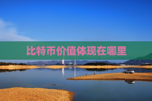 比特币价值体现在哪里-第1张图片-币圈网 比特币价值体现在哪里-第1张图片-币圈网