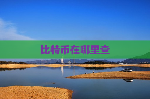 比特币在哪里查-第1张图片-币圈网 比特币在哪里查-第1张图片-币圈网