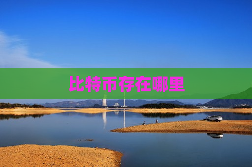 比特币存在哪里-第1张图片-币圈网