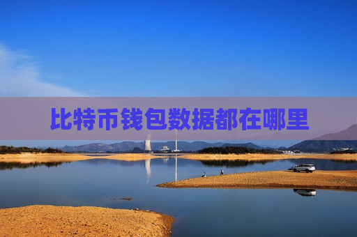 比特币钱包数据都在哪里-第1张图片-币圈网 比特币钱包数据都在哪里-第1张图片-币圈网