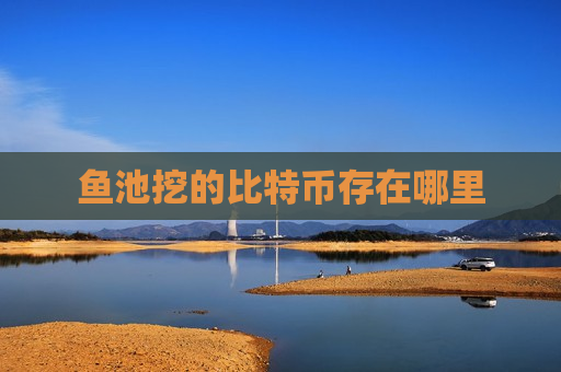 鱼池挖的比特币存在哪里-第1张图片-币圈网 鱼池挖的比特币存在哪里-第1张图片-币圈网