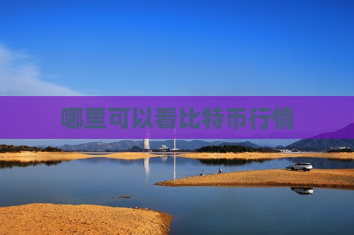 哪里可以看比特币行情-第1张图片-币圈网