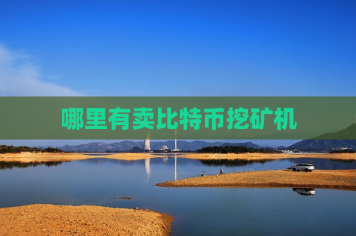 哪里有卖比特币挖矿机-第1张图片-币圈网 哪里有卖比特币挖矿机-第1张图片-币圈网