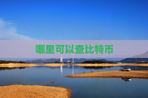 哪里可以查比特币-第1张图片-币圈网 哪里可以查比特币-第1张图片-币圈网