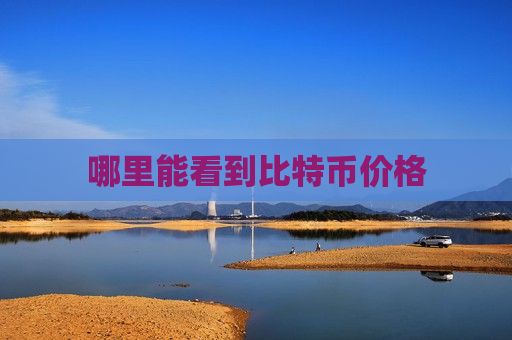 哪里能看到比特币价格-第1张图片-币圈网 哪里能看到比特币价格-第1张图片-币圈网