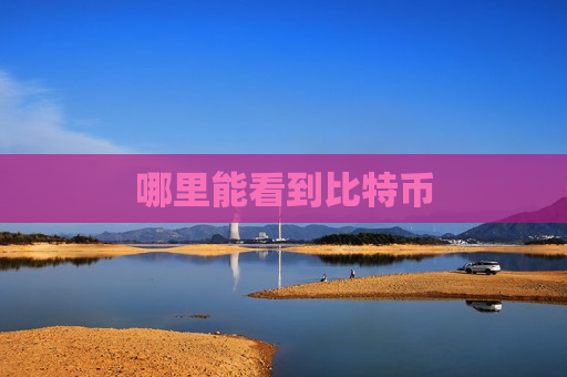 哪里能看到比特币-第1张图片-币圈网 哪里能看到比特币-第1张图片-币圈网