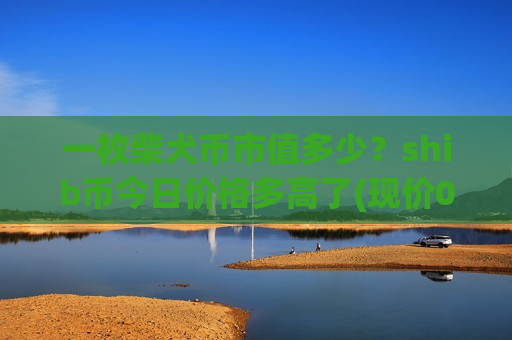 一枚柴犬币市值多少?shib币今日价格多高了(现价0.00023173元)-第1张图片-币圈网 一枚柴犬币市值多少?shib币今日价格多高了(现价0.00023173元)-第1张图片-币圈网