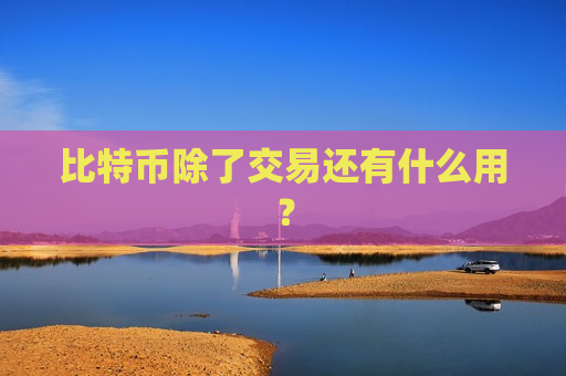 比特币除了交易还有什么用？-第1张图片-币圈网