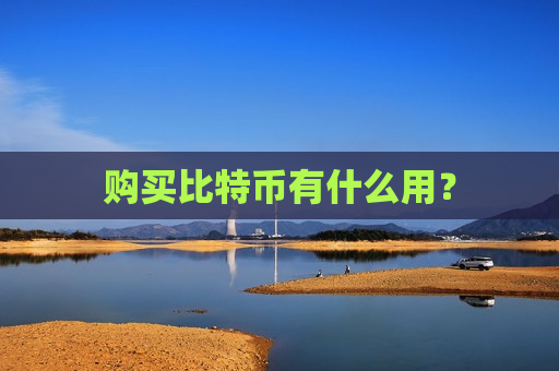 购买比特币有什么用？-第1张图片-币圈网