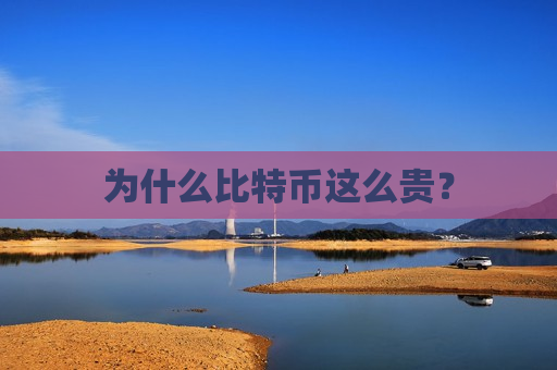 为什么比特币这么贵?-第1张图片-币圈网 为什么比特币这么贵?-第1张图片-币圈网